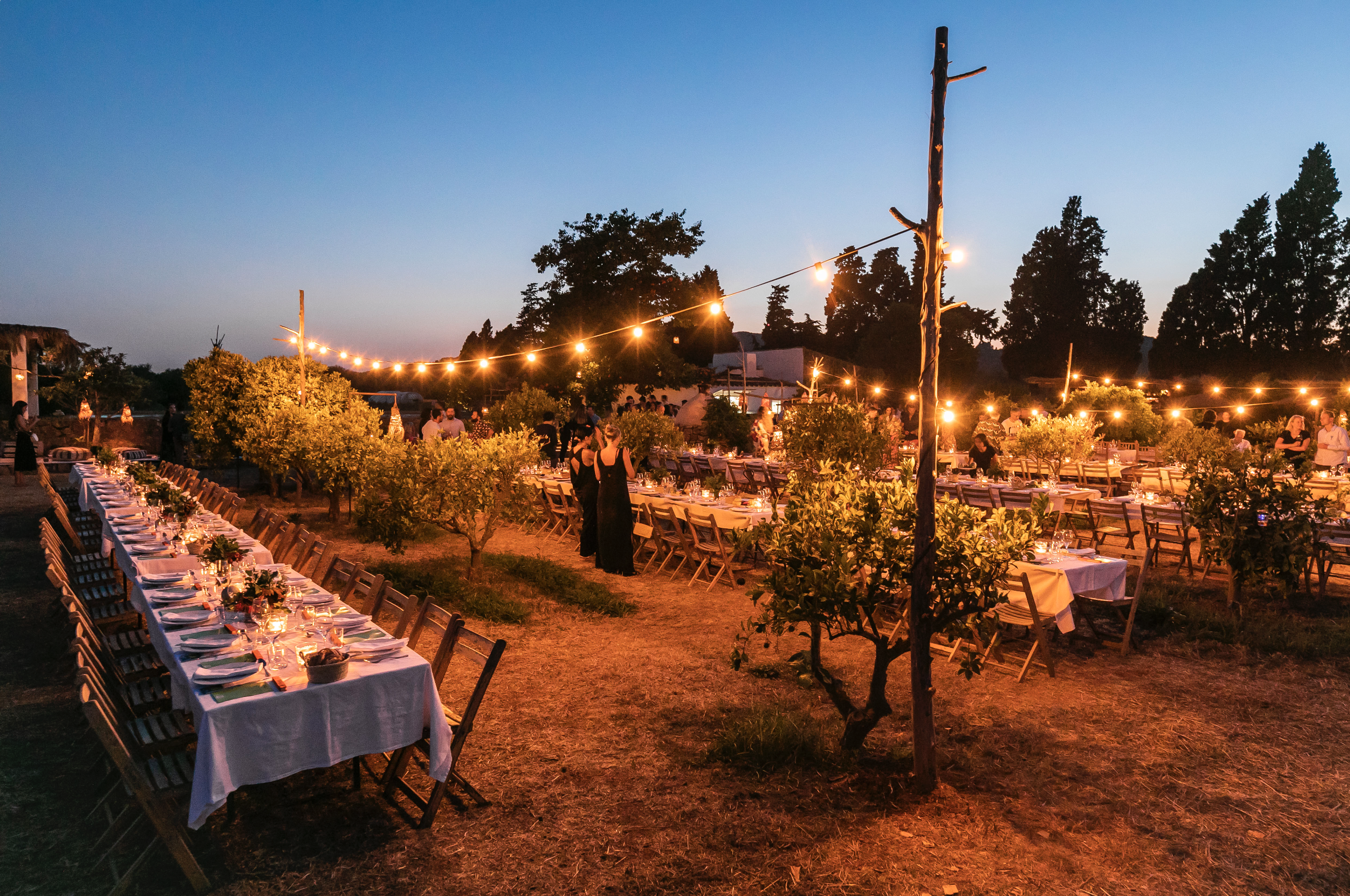 An elegant outdoor dinner at Terra Masia in Ibiza, with long candlelit tables, Gucci-branded details, stylish guests, and a rustic organic farm setting at sunset.